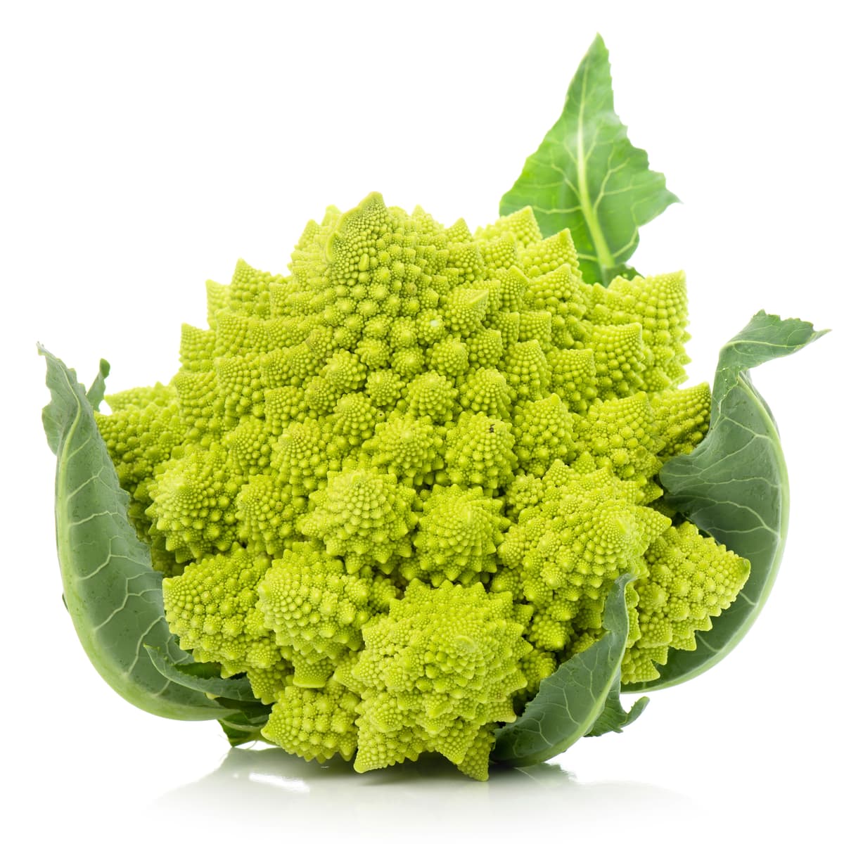 Romanesco Migusto