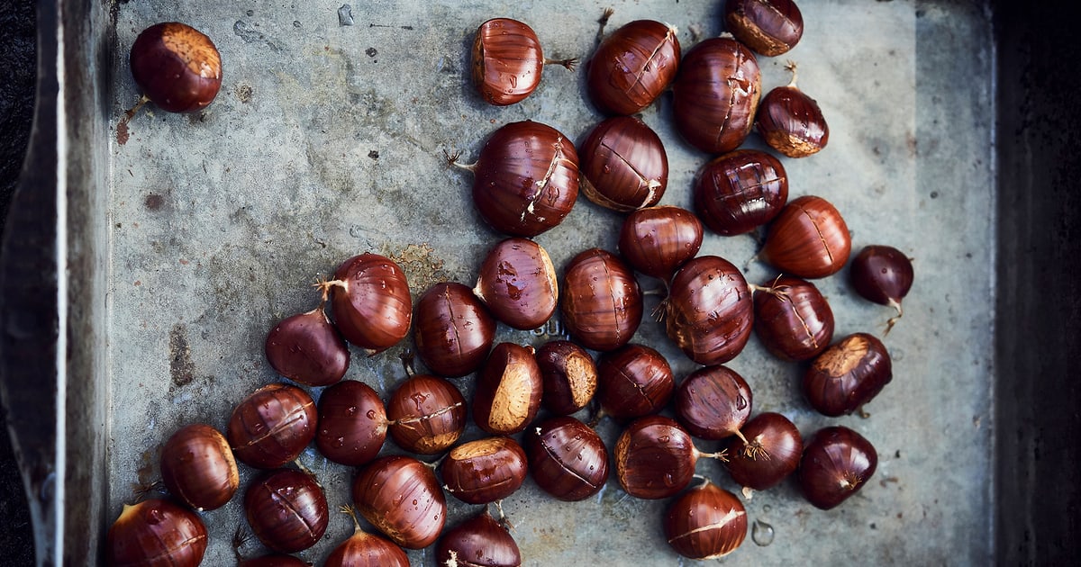 Petit Guide Du Ramassage Des Chataignes Migusto