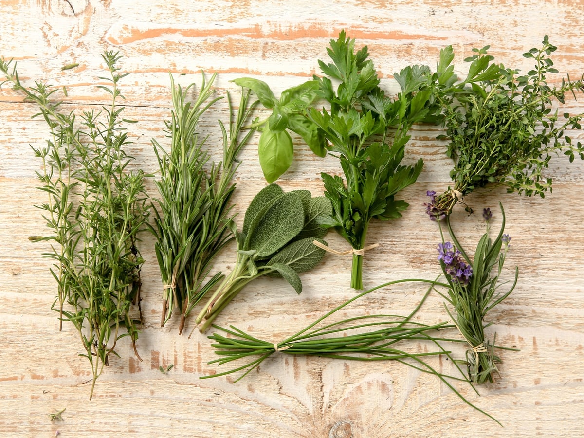 Les herbes aromatiques  Liste, comment les cuisiner, idées recettes