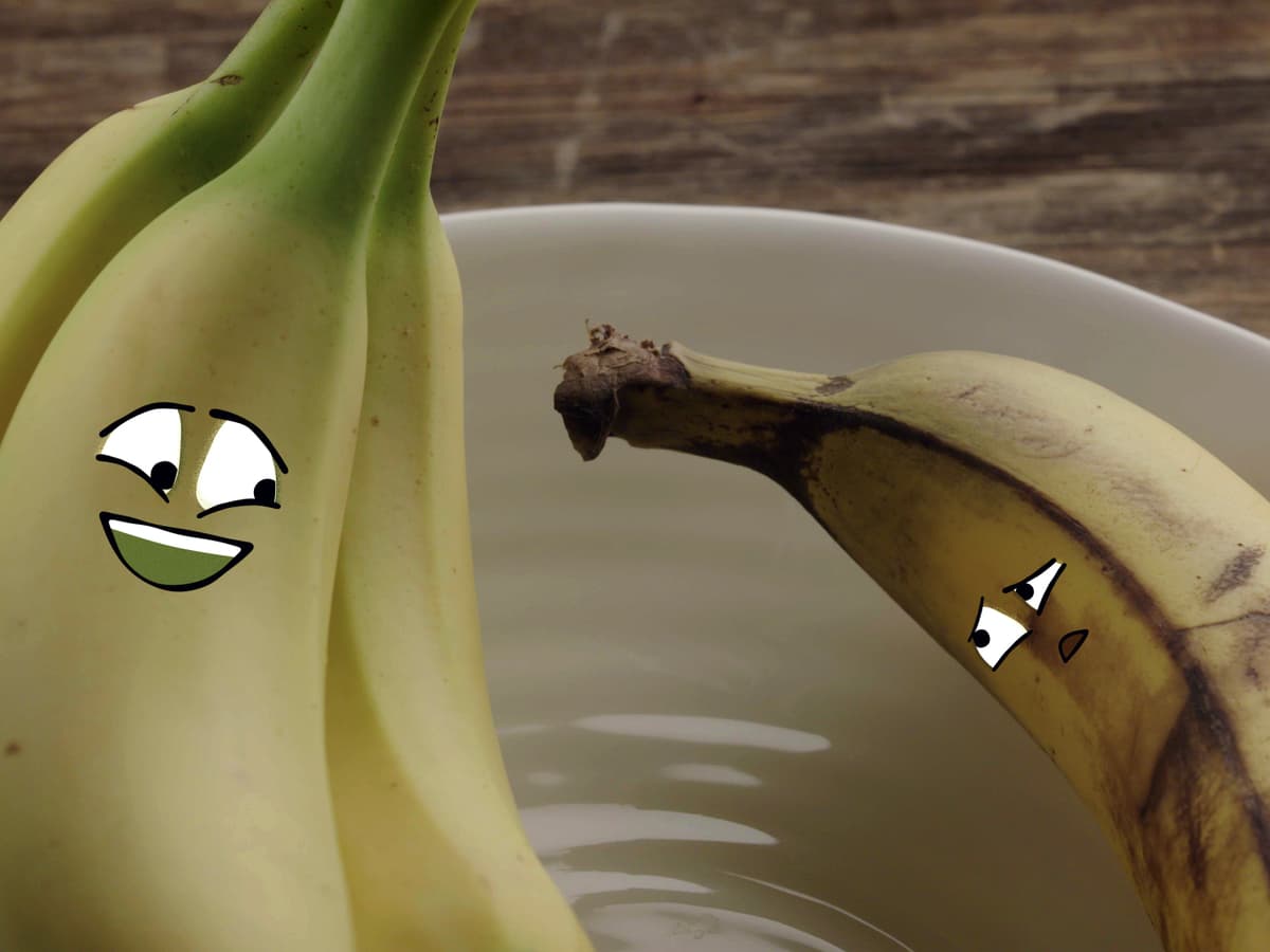 Comment conserver vos bananes!